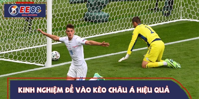 Cách chinh phục tỷ lệ châu Á hiệu quả cao